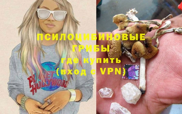 ГАЛЛЮЦИНОГЕННЫЕ ГРИБЫ Белоозёрский
